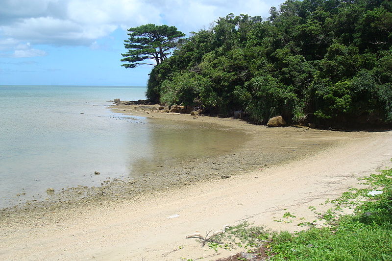 800px-Iriomote_Jima_1_by_Tzuhsun Hsu