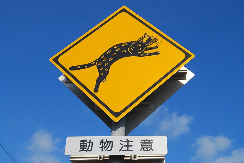 800px-Warning_signs_for_Iriomote_cat_by_Sota